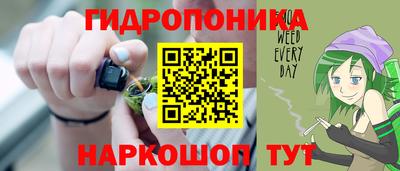 индика Ирбит
